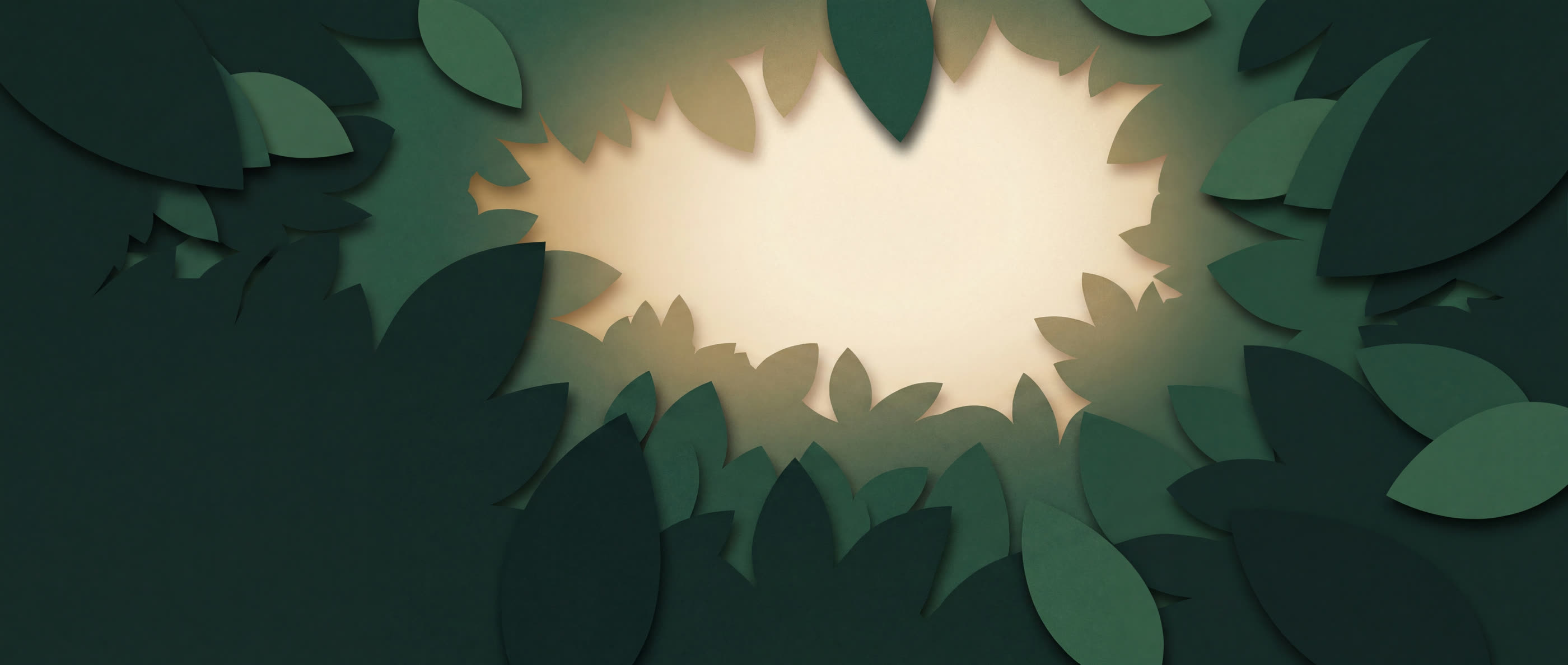Layered cut-paper rainforest canopy opening to a gap of warm light.
